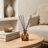 Diffuseur de parfum de luxe en verre avec bâtonnets aromatiques et bouchon en bois, emballage personnalisé