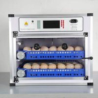 Incubateur d'œufs intelligent nouvelle génération pour oiseaux, poulets, émeus, oies et autruches |   Machine d'incubation entièrement automatique, taux d'éclosion de 98%, 220V PVC
