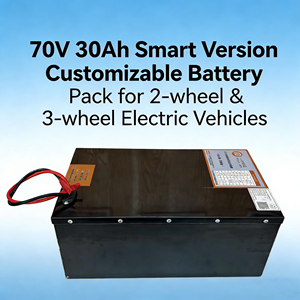Safe Eco-Friendly 72V 30Ah 100Ah 150Ah LiFePO4 Battery, Customizable for <strong>2</strong>/<strong>3</strong>-Wheel EV with BMS - Product Image 1