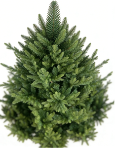 <span class=keywords><strong>Sapin</strong></span> de Noël Artificiel Haut de Gamme 2,3 m en PE et PVC, avec Base, Conception Réaliste à Charnières, Non Éclairé, pour Décoration de Fêtes à Domicile - Product Image 4