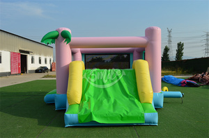 Lâu Đài Nhảy <span class=keywords><strong>Bouncers</strong></span> Cổ Điển Trượt Lâu Đài Nảy Bơm Hơi Có Cầu Trượt Combo Bơm Hơi - Product Image 6