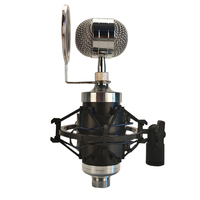 Microphone professionnel Lane Bm-800xx, enceintes de studio, microphone de studio, microphones audio professionnels, studio