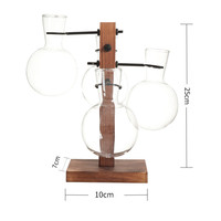 Vase en verre transparent sur support en bois, style européen créatif, pour arrangement floral hydroponique – Fournisseur d'usine