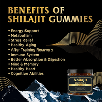 Gummies de Shilajit en gros, fabrication OEM, marque privée