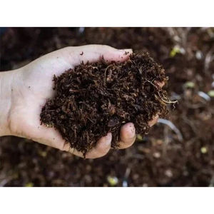 Trinova Exim, Fertilizante Orgánico Natural Puro al 99%, Agricultura Sostenible, Mejora de la Salud del Suelo, Alto Rendimiento de Cultivos 24 - Product Image 2