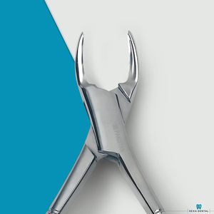 Forceps d'extraction dentaire Dexa Heavy Duty 150, forceps apical à poignée moletée, instrument chirurgical manuel - Product Image 5