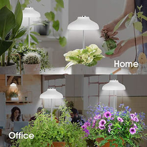 Lampes de culture LED pour fleurs, légumes, hydroponie, culture de plantes, <span class=keywords><strong>lampe</strong></span> de culture aéroponique, <span class=keywords><strong>lampe</strong></span> de lecture, protection des yeux, <span class=keywords><strong>lampe</strong></span> de table - Product Image 4