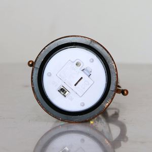 Nuevo Producto: Lámparas LED Decorativas en Oferta, Ecológicas, Funcionan con Batería, Luz Blanca Cálida, Precio al por Mayor - Product Image 5