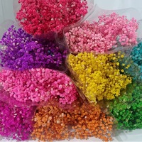 Speciale Munti Kleur Gypsophila Baby's Adem Bloemen Ge conserveerde Gypsophila Baby Star 120g Bloemknop Lamp voor DIY Materiaal Huisdecoratie