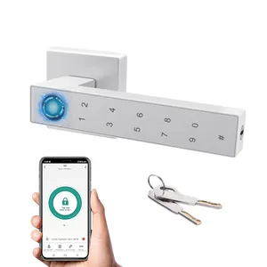 Porta da frente Preço fábrica Smart Handle Door Lock TTlock TUYA APP Fingerprint Smart Lock