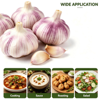 Fournisseurs chinois, vente en gros, export, nouvelle saison, ail frais en vrac, ail pelé avec emballage personnalisé