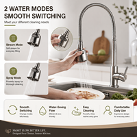 Robinet de cuisine moderne en nickel brossé avec douchette extractible, monocommande, col de cygne, en acier inoxydable