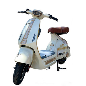 Motor 250W 350W 500W 750W <b>1000W</b> 1500W 2000W Hot Sale China Factory Brushless DC High Torque Mid Drive <b>Electric</b> Bicycle - Product Image 4