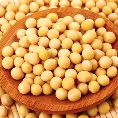 Wholesale sale of GUOWAN organic non-GMO soybeans