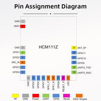   Module BLE 5.3, boîtier LGA, HCM111Z avec codec audio intégré et Cortex M3 48 MHz pour appareils IoT avec antenne PCB