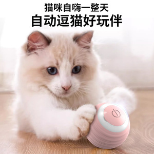 ลูกบอลของเล่นแมวข้ามพรมแดน, ของเล่นแมวสำหรับความบันเทิงในตัวเอง, อุปกรณ์ของเล่นแมว, ลูกบอลกลิ้งอัจฉริยะ, ของเล่นทำความสะอาดฟัน - Product Image 2