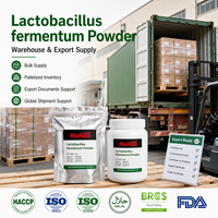 Probiótico de Alta Actividad, 100 Mil Millones de UFC, Lactobacillus Fermentum en Polvo Liofilizado CN/SHN