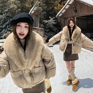 Chaqueta Acolchada de Algodón Grueso Impermeable para Mujer, Invierno 2025, Estilo Europeo Americano, Personalizada, con Capucha Corta y Cuello de Piel Sintética - Product Image 2