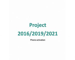 Activation de serveur téléphonique Huidan Enterprise Project Professional 2016/2019/2021 <span class=keywords><strong>pour</strong></span> logiciel de bureau, livraison en ligne disponible - Product Image 2
