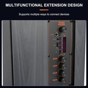 Sing-e ZQS912S Combo de teclado de Bajo acústico de 12 pulgadas Fábrica al por mayor Altavoz de DJ de escenario profesional personalizado - Product Image 4