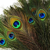 Plumes de paon naturelles brutes pour l'artisanat DIY, mariage, maison, festival, costume, spectacle de danse, décoration, fabrication de bijoux Soraj