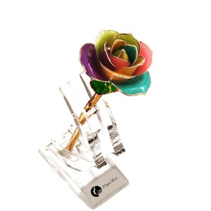 Fabbrica OEM ODM arcobaleno reale naturale preservato rosa 24K oro rosa tuffato rose per <span class=keywords><strong>la</strong></span> <span class=keywords><strong>madre</strong></span> e <span class=keywords><strong>la</strong></span> fidanzata - Product Image 6