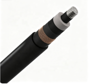 Câble Monoconducteur Industriel 12/20 (24) KV NA2XS (F) 2Y en Aluminium avec Isolation XLPE et Gaine MDPE pour Distribution Électrique