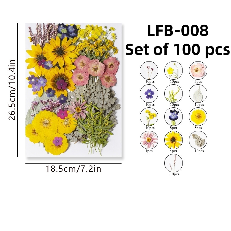 LFB-008