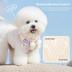 Haustier Hund Katze Accessoires Luxus Süßes Schmetterlingsknoten Ziehenfreies Seil Leine Kleiner Hund Katze Leine Geschirr Set - Product Image 3