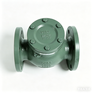 Vanne de retenue à clapet double à deux voies en fonte COVNA DN150 6 pouces PN16, double bride, manuelle, anti-retour, haute température pour les fluides aqueux - Product Image 2