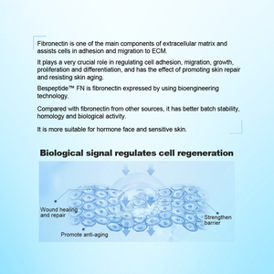 Yüz Anti-aging ve cilt iyileştirme formülasyonları için OEM biyoteknoloji sınıfı rekombinant Fibronectin - Product Image 3