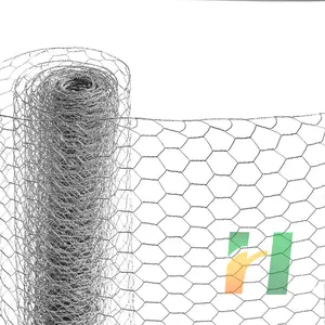 Çin fabrika ucuz fiyat 1 "PVC elektro sıcak daldırma galvanizli altıgen tel örgü hayvan kafesi tavuk örgü