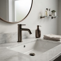 Robinet de lavabo moderne noir mat en acier inoxydable à montage sur plan avec cartouche céramique pour salle de bain