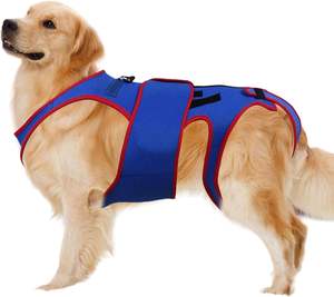 Dog Back Brace Hip Joint Dog Knee Brace for Torn Acl Hind <b>Legs</b> Injuiry Hip Support <b>Recovery</b> and Rehabilitation Dog Back Brace - Product Image 1