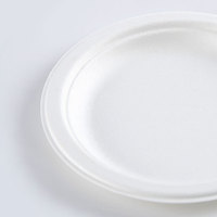 Bols de canne à sucre et de bagasse biodégradables de 6 pouces Boîtes à lunch jetables maintenant disponibles pour le marché des EAU