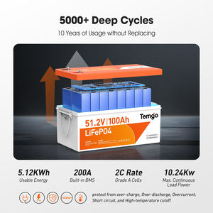 美国库存48v 51.2V LiFePO4 100Ah电动高尔夫球车电池锂电池，带200A智能BMS - Product Image 2