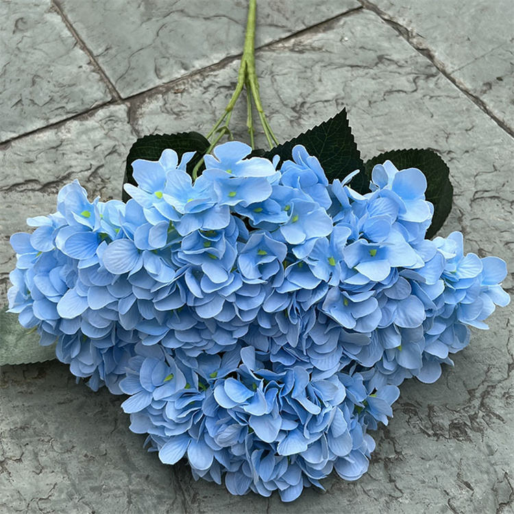 HY-011 bleu hortensia