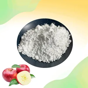 Natural High Quality Best Price Apple Root Extract 98% Phloretin Powder