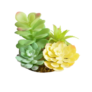 Multiprise électrique ignifuge et écologique Plant PD 5V/3A & 9V/2A 20W avec prises USB Type-C pour une charge rapide - Product Image 3