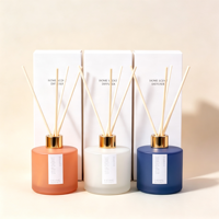 Diffuseur de parfum d'ambiance en verre dépoli pour la maison, design sans flamme sûr, adapté aux enfants et aux animaux domestiques, vente en gros