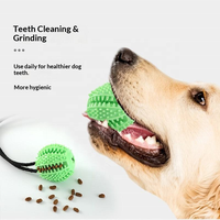 Jouet multifonctionnel pour chien avec ventouse, corde à tirer, balle distributrice de friandises, jouet interactif en caoutchouc pour le nettoyage des dents