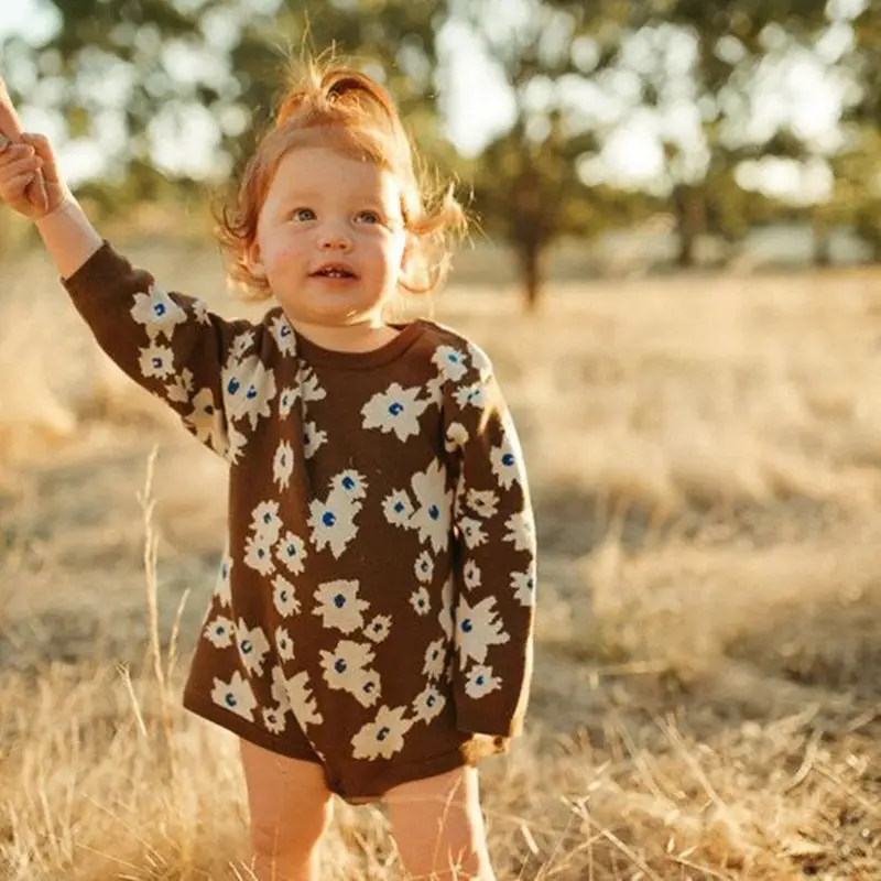 Ins Baby Herfst Winter Trui Bodysuit Jongen Meisje Baby Mode Daisy Gebreide Lange Mouwen Onesie Peuter Kid Knitwear