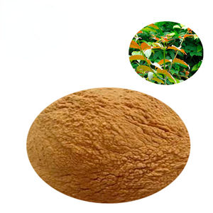 acacia catechu extract powder 5:1,10:1,20:1 uncaria gambier