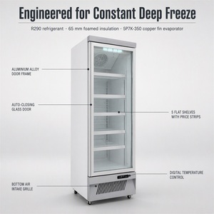 -18~-22°C Enkeldeurs rechtopstaande vrieskast met onderaan geplaatste display, luchtkoeling, verstelbare planken, aanpasbare kleur - Product Image 3