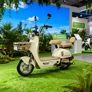 Vélo Électrique Urbain pour Adulte, Cadre en Acier, Moteur Arrière 3 Vitesses 48V 350W 14 Pouces, Frein à Tambour, Vente en Gros - Product Image 3