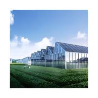 Moderne verzinkte Stahlrahmen elektrische Energie Solarenergie Gewächshaus Solar Venlo gehärtetes Glas Gewächs häuser landwirtschaft lich