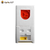 Ruche en polystyrène pour abeilles, boîte d'allumettes à 2 couches, Queen abeille miel, équipement pour l'apiculture