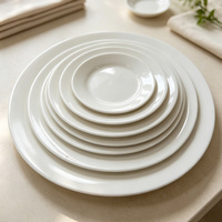 Assiettes plates en porcelaine blanche unie de qualité alimentaire, compatibles micro-ondes et lave-vaisselle, pour la restauration à domicile