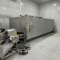 Industriële IQF Tunnel-/spiraalvriezer van roestvrij staal 304, snelvriesapparatuur voor fruit, groenten, vlees, vis, CE ISO gecertificeerd