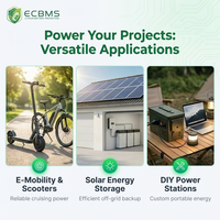 ECBMS Système de gestion de batterie solaire hors réseau LiFePO4 Li-ion 3S 4S 6S 7S 20A 40A Équilibrage rapide Double capteur de température Portable Solaire Hors Réseau
